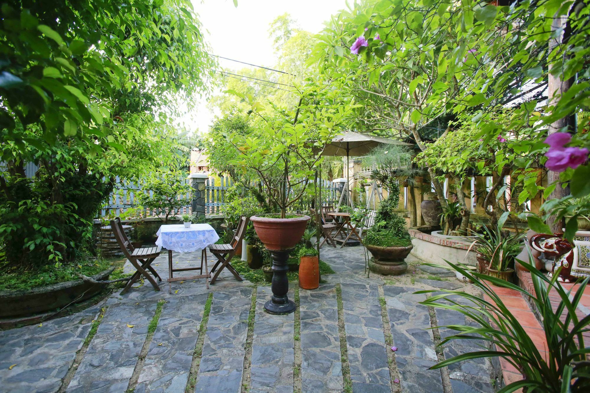 Terra Cotta Homestay Хой Ан Екстериор снимка